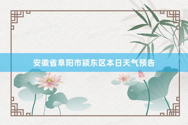 安徽省阜阳市颍东区本日天气预告